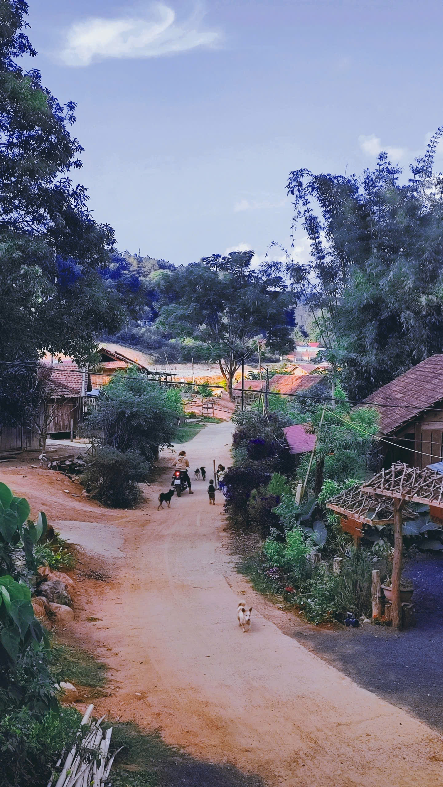 Khung cảnh làng Kon Pring buổi chiều